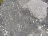 image of grave number 85487